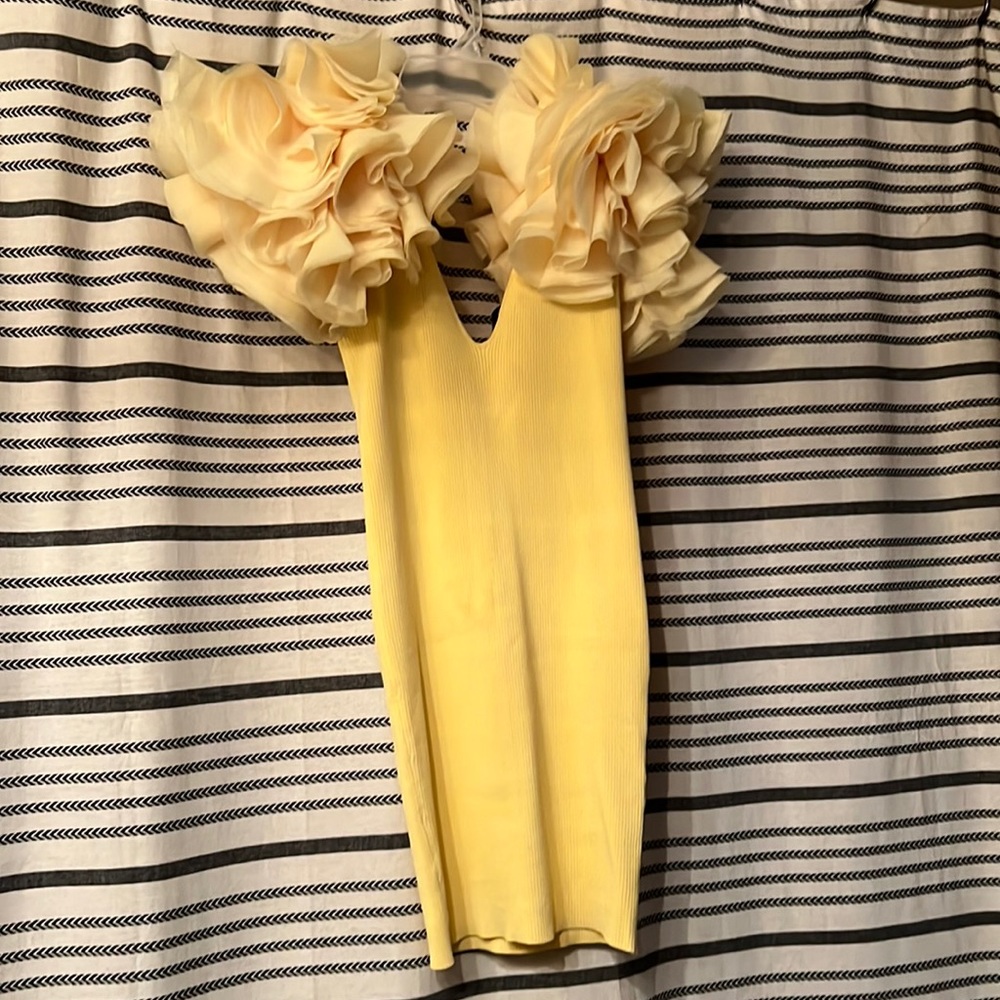 Brand New Zara Dress